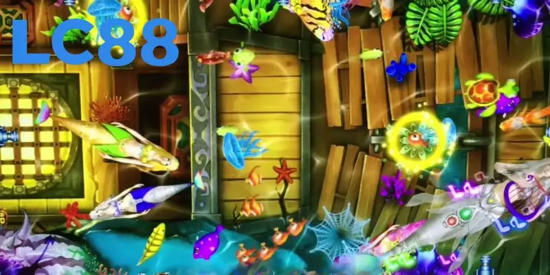 3 chiến thuật săn cá béo cực hay từ chuyên gia