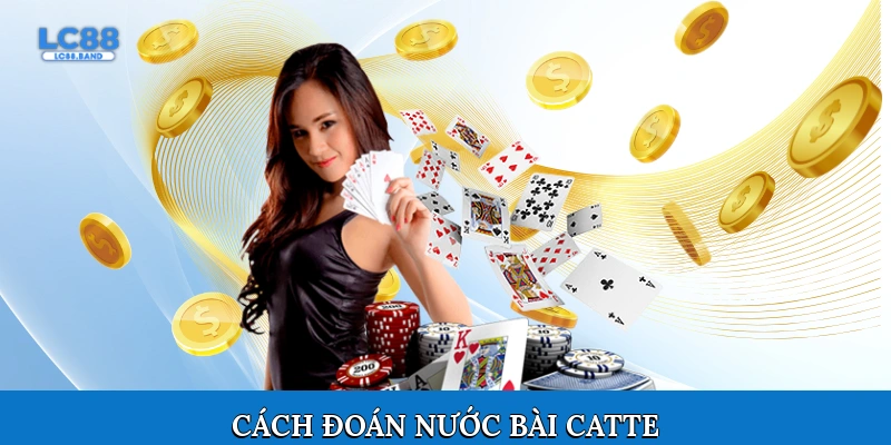 Cách đoán nước bài Catte
